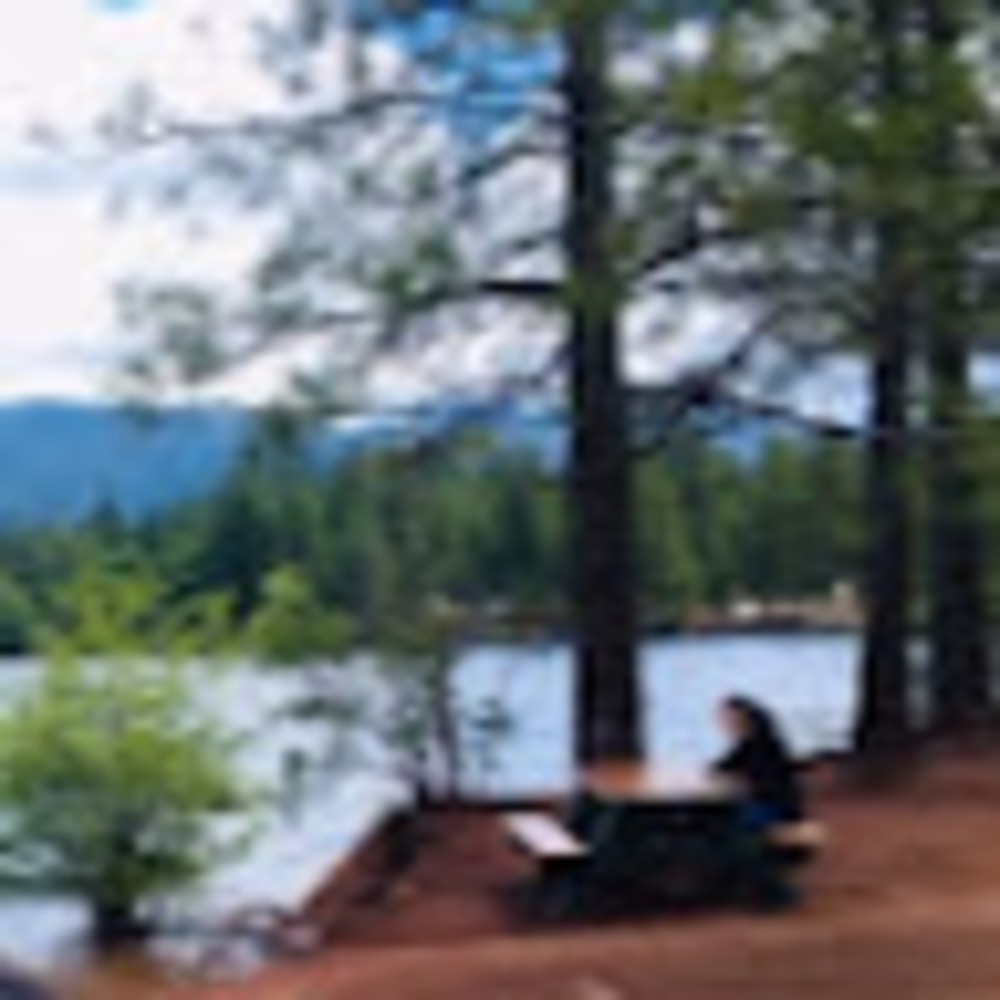 Meet your Posher, Svetlana